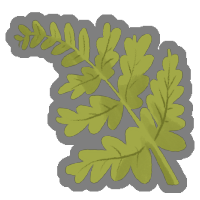 Delicate Frond
